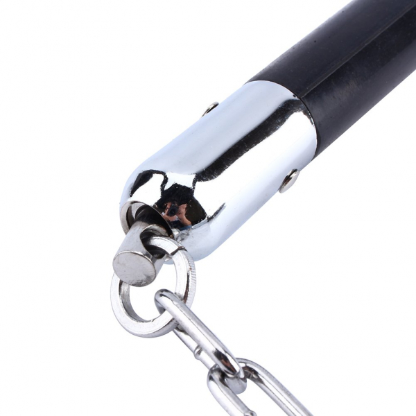 Set Nunceag, 31 cm si baston telescopic 65 cm, argintiu [5]