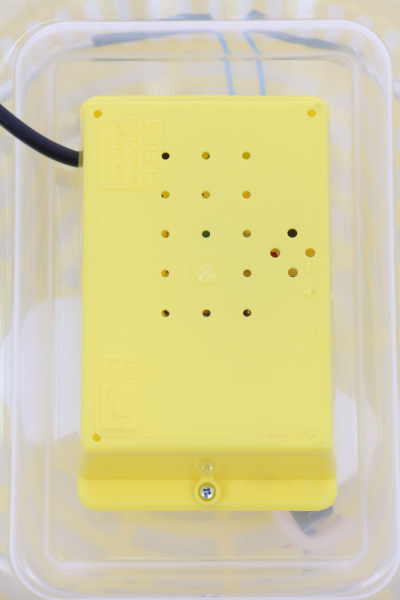 Incubator electric pentru oua, Cleo, model 5 [5]