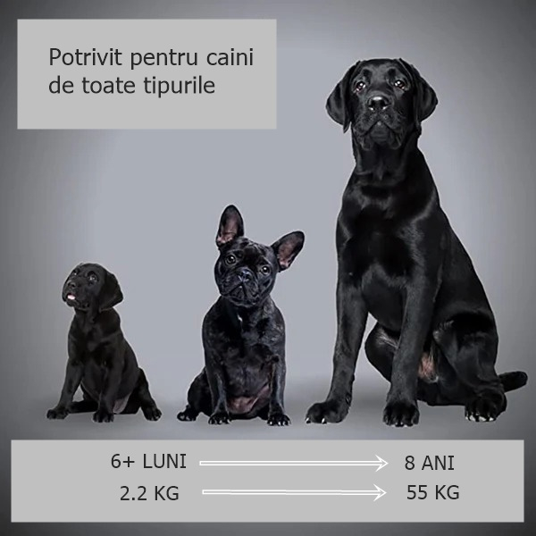 Aparat cu ultrasunete impotriva cainilor agresivi, dresaj animale companie, negru [5]