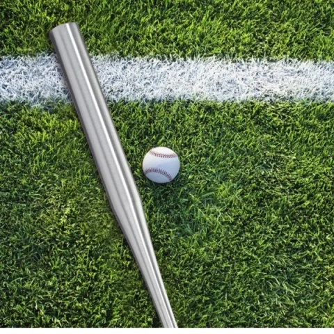 Set doua bate de baseball DEPOX®, aluminiu, 63 cm/80 cm, argintiu [7]