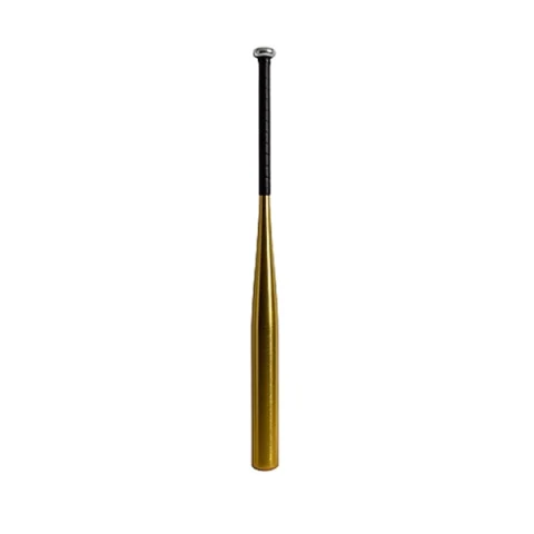 Set doua bate  de baseball DEPOX®, aluminiu, 63 cm/80 cm, argintiu/auriu [7]