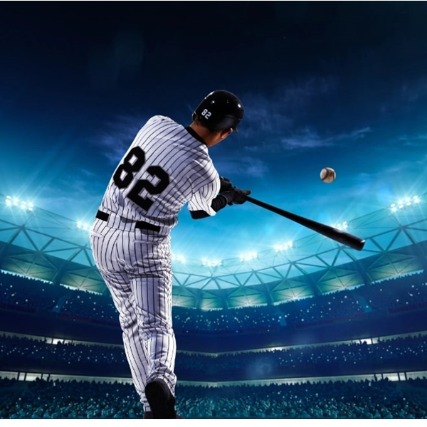 Bata de baseball IdeallStore®, aluminiu, 80 cm, argintiu [5]