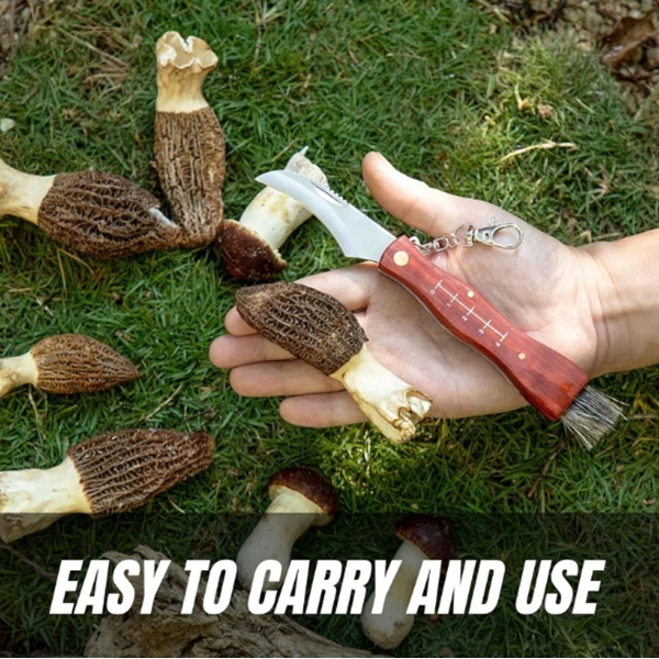 Briceag pentru ciuperci DEPOX®, otel inoxidabil, cu perie, maner din lemn, 21 cm, maro [4]