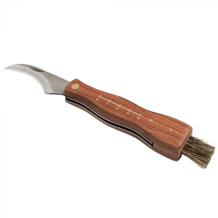 Briceag pentru ciuperci DEPOX®, otel inoxidabil, cu perie, maner din lemn, 21 cm, maro [7]