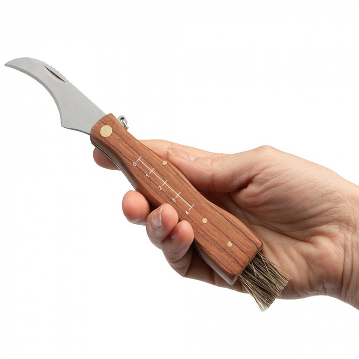 Briceag pentru ciuperci DEPOX®, otel inoxidabil, cu perie, maner din lemn, 21 cm, maro [8]