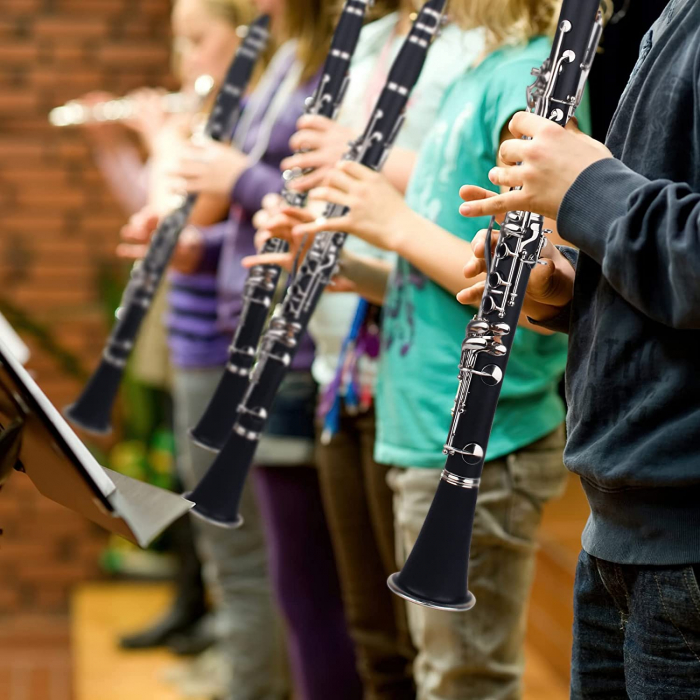 Clarinet IdeallStore®, Musical Virtue, 17 clape, 67 cm, negru, geanta inclusa [17]