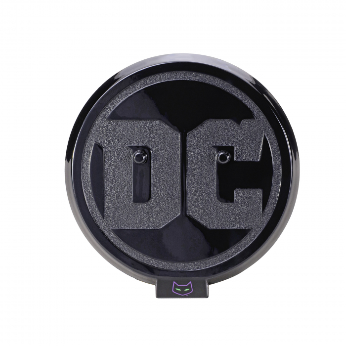 Figurina Catwoman articulata IdeallStore®, Purrr Mistress, editie de colectie, 18 cm, stativ inclus [6]