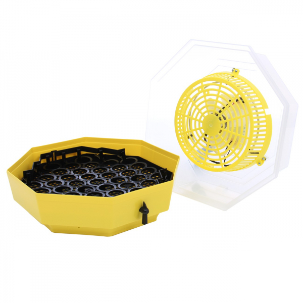 Incubator electric pentru oua cu dispozitiv intoarcere, Cleo, model 5D [3]