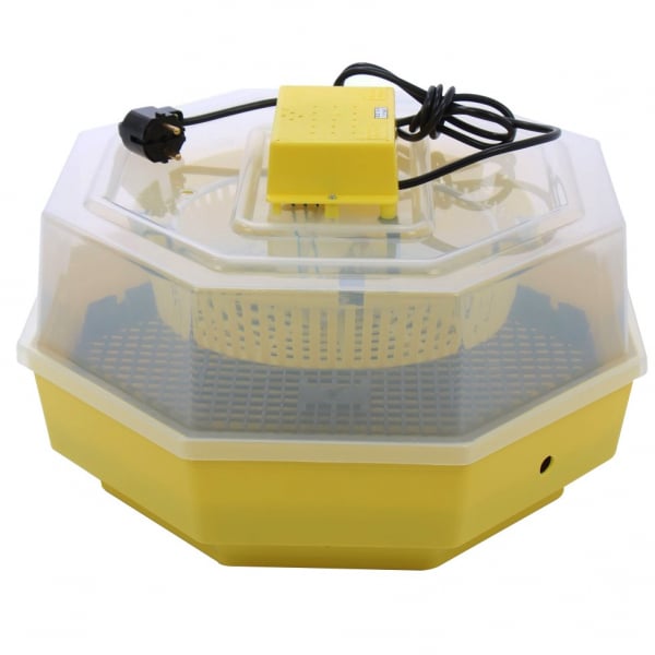 Set Moară Electrică CAMPION 3.8 kW si Incubator CLEO 5 DEPOX®, galben/albastru [3]