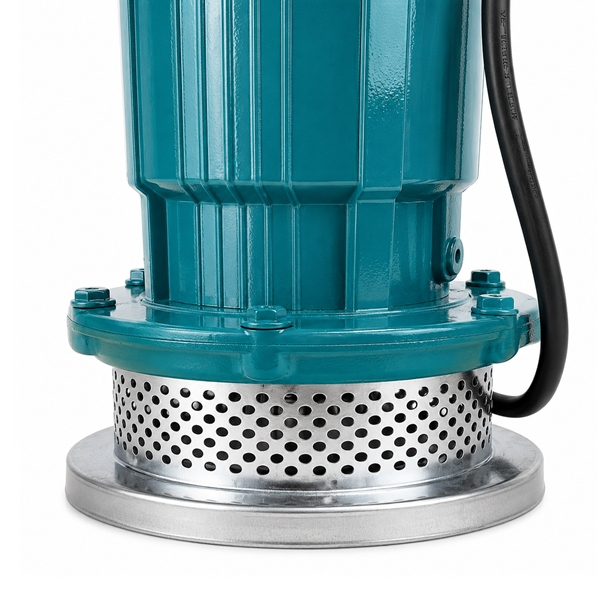 Pompa Apă Curată Submersibilă DEPOX®, Fontă, cu Plutitor Automat, 750 W, Refulare 32 m, Absorbție 28 m, Debit 1.5 m³/h, Racord 1", 220 V [5]