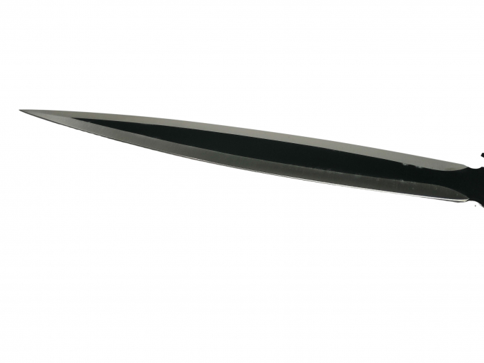 Set de vanatoare IdeallStore®, Sabie Red Ronin si set trei cutite de aruncat, otel inoxidabil, negru [6]
