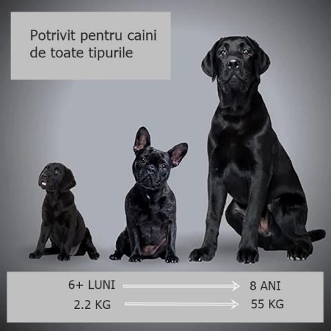 Aparat cu ultrasunete impotriva cainilor agresivi, dresaj animale companie, negru [4]
