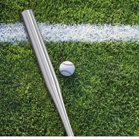 Bata de baseball IdeallStore®, aluminiu, 80 cm, argintiu [1]