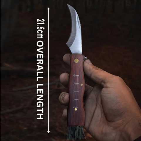 Briceag pentru ciuperci DEPOX®, otel inoxidabil, cu perie, maner din lemn, 21 cm, maro [4]