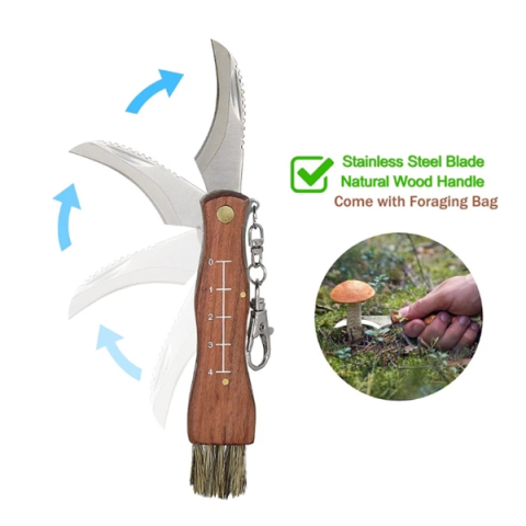 Briceag pentru ciuperci DEPOX®, otel inoxidabil, cu perie, maner din lemn, 21 cm, maro [1]