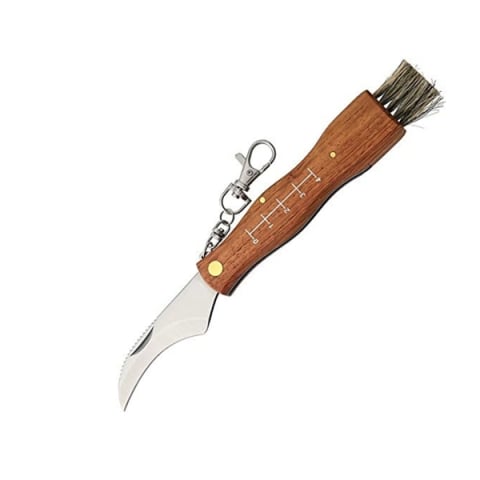 Bricege - Briceag pentru ciuperci DEPOX®, otel inoxidabil, cu perie, maner din lemn, 21 cm, maro