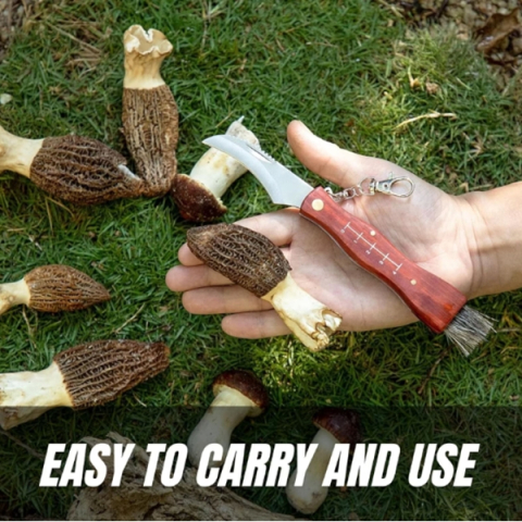 Briceag pentru ciuperci DEPOX®, otel inoxidabil, cu perie, maner din lemn, 21 cm, maro [3]