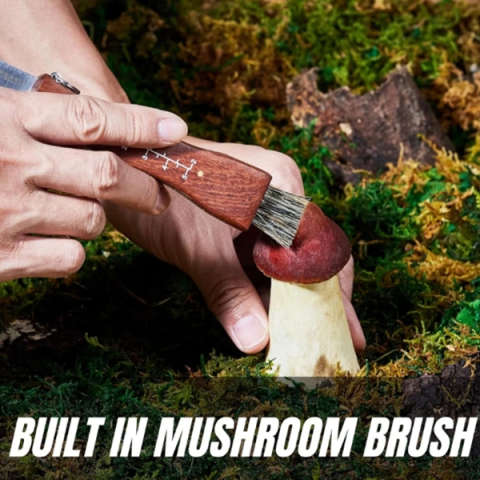 Briceag pentru ciuperci DEPOX®, otel inoxidabil, cu perie, maner din lemn, 21 cm, maro [2]