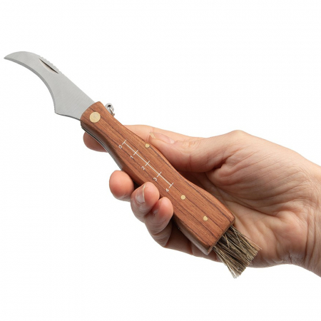 Briceag pentru ciuperci DEPOX®, otel inoxidabil, cu perie, maner din lemn, 21 cm, maro [7]