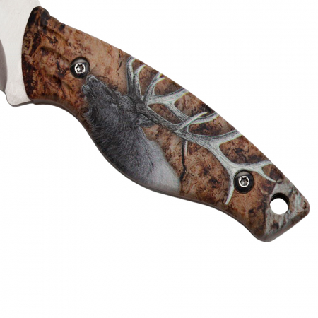 Cutit de vanatoare IdeallStore®, Stag Call, 20 cm, bej, husa inclusa [3]