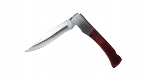 Briceag de vanatoare, camping si pescuit IdeallStore®, 26 cm​, husa cadou [1]