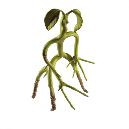 Figurine si masinute duble - Figurina Animale Fantastice articulata, Bowtruckle Friend, editie de colectie, 18 cm