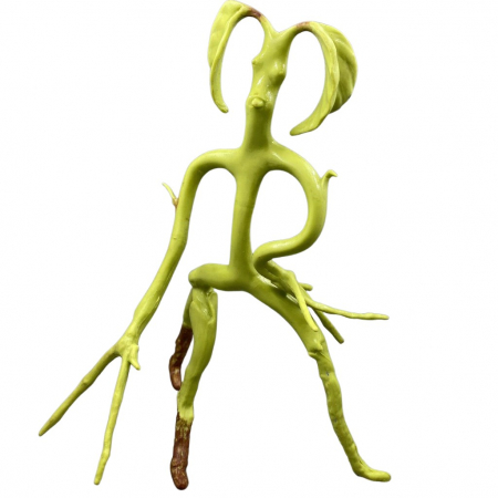 Figurina Animale Fantastice articulata, Bowtruckle Friend, editie de colectie, 18 cm [1]