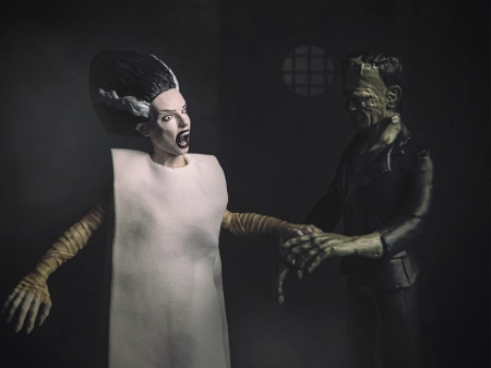 Figurina articulata IdeallStore®, Bride of Frankenstein, editie de colectie, 17 cm, stativ inclus [6]