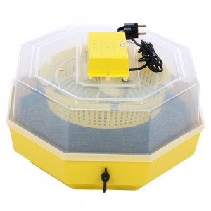 Incubatoare oua - Incubator electric pentru oua cu dispozitiv intoarcere, Cleo, model 5D