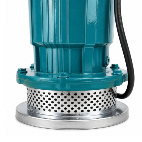 Pompa Apă Curată Submersibilă DEPOX®, Fontă, cu Plutitor Automat, 750 W, Refulare 32 m, Absorbție 28 m, Debit 1.5 m³/h, Racord 1", 220 V [4]