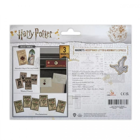 Set 3 magneți Scrisoare de acceptare Harry Potter, IdeallStore®, 5.8x8 cm [1]