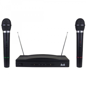 Set microfoane wireless + reciever AT-306 [1]