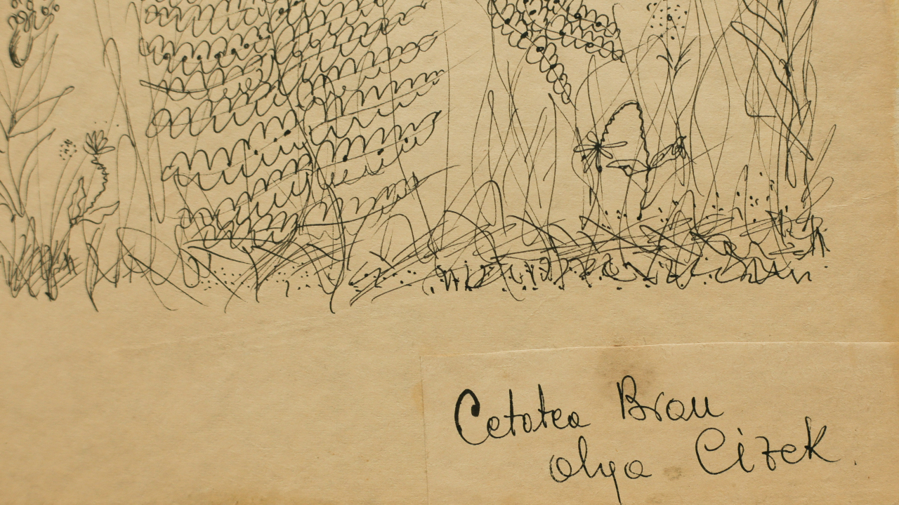 Olga CIZEK, Cetatea Bran [3]