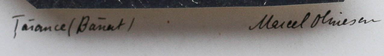 Marcel OLINESCU, Țărănci (Banat) [3]