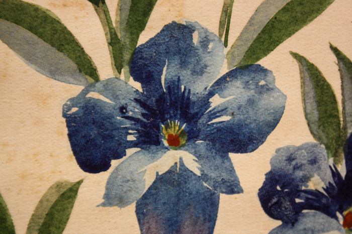 AUTOR neidentificat, Flori albastre, 1947 [2]