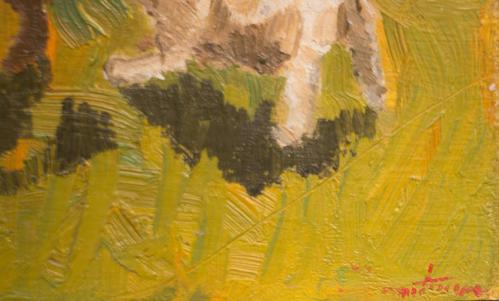 Zamfir DUMITRESCU, Țăran la fântână [3]