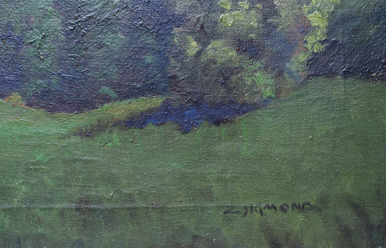 ZSIGMOND Béla, Landscape from Maramureș County [3]