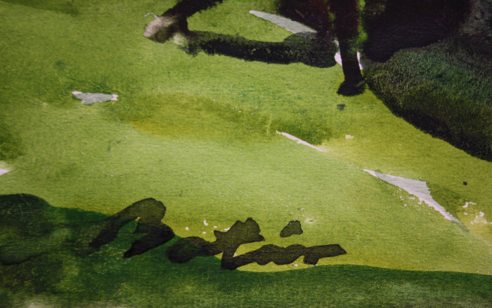 BOTÁR Edith, Peisaj montan cu căpițe de fân [3]