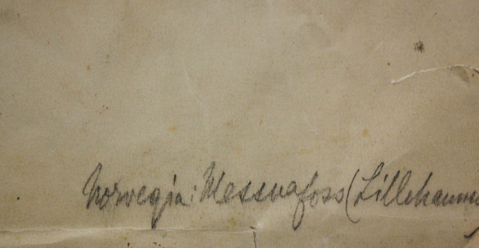 Elena POPEA, Peisaj din Lillehammer, Norvegia [3]