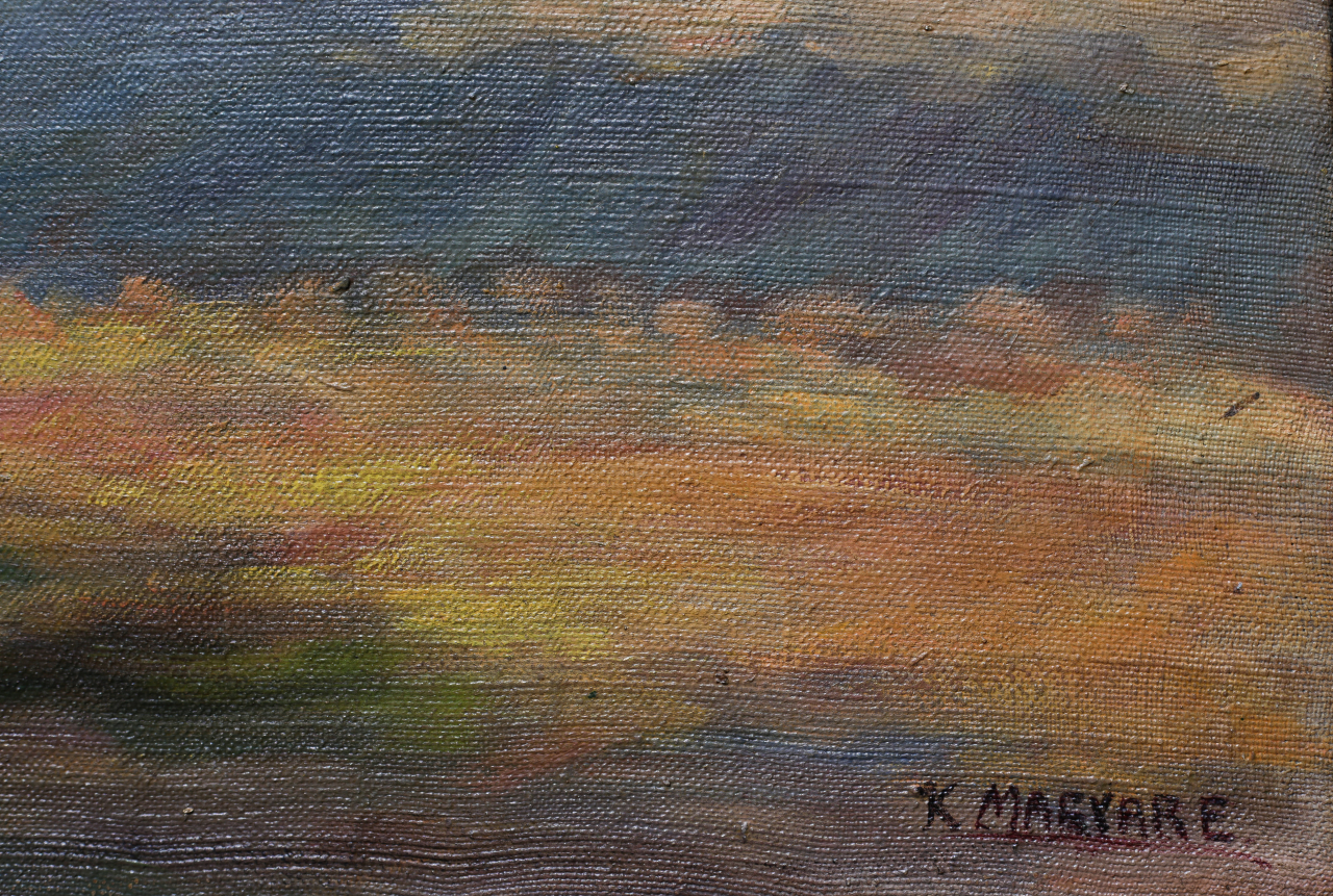 K. MAGYAR E., Cityscape from Baia Mare with Săsar River [3]