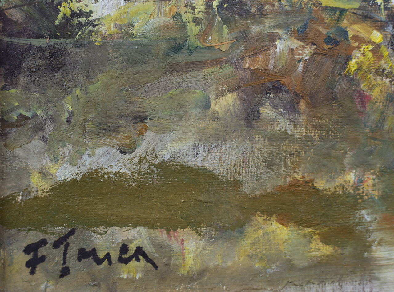 Florin ȚONEA, Peisaj cu lac [3]