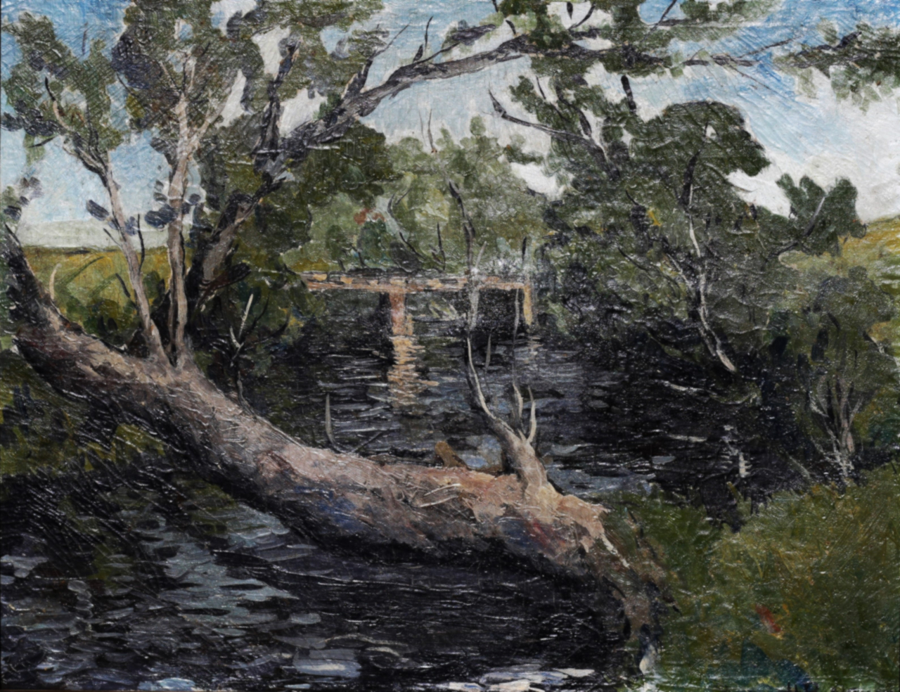 Horia BERNEA, Landscapes from Poiana Mărului [2]