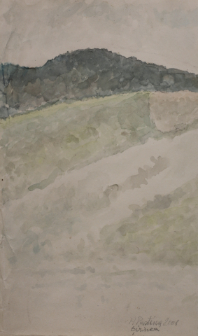 GRAFICĂ - Horia PAȘTINĂ, Șirnea, 2001