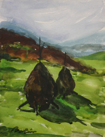 BOTÁR Edith, Peisaj montan cu căpițe de fân [0]