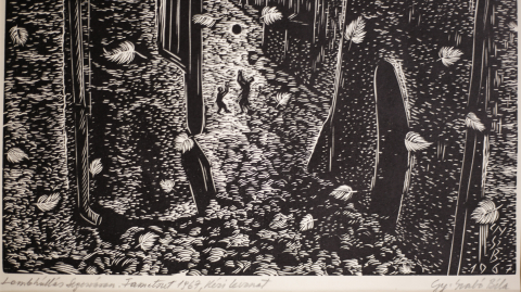 GY. SZABÓ Béla, Sighișoara, 1967 [1]