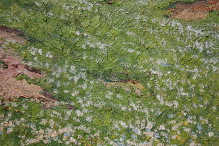 TÓTH J. Péter, Peisaj de primăvară cu deal înflorit și copaci, 1930 [2]