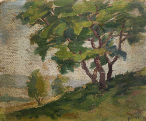 PAINTINGS - Unidentified AUTHOR, Landscape with the hills of Cluj