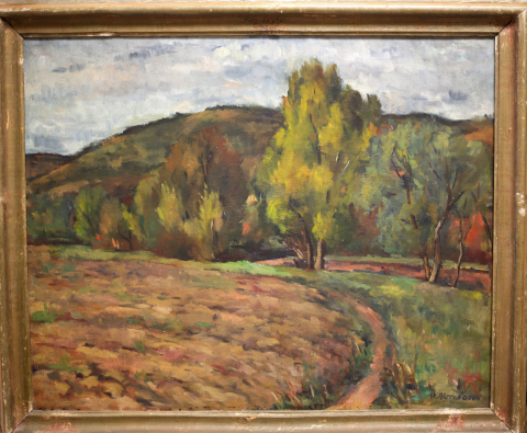 Petre ABRUDAN, Ogor pe malul Someșului [3]