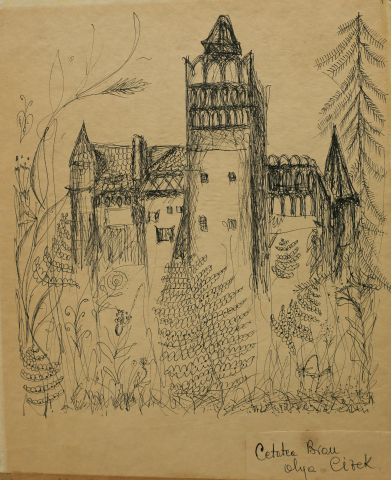 GRAPHICS - Olga CIZEK, Bran Fortress