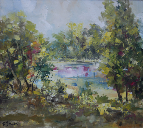 Florin ȚONEA, Peisaj cu lac [0]